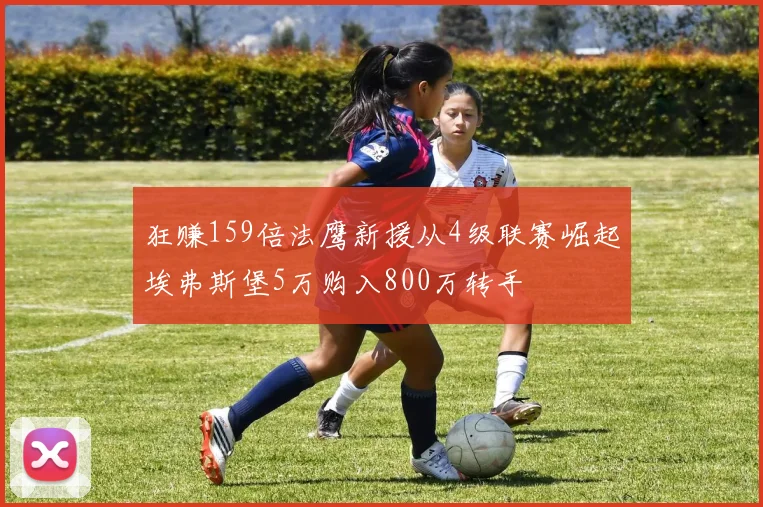 狂赚159倍法鹰新援从4级联赛崛起埃弗斯堡5万购入800万转手