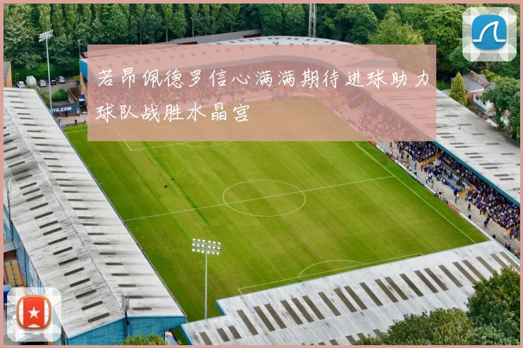 若昂佩德罗信心满满期待进球助力球队战胜水晶宫