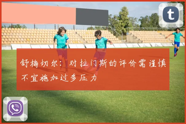 舒梅切尔：对拉门斯的评价需谨慎不宜施加过多压力